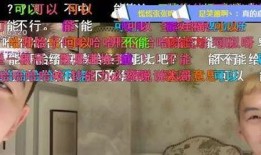 大舅哥被爆料视频大全集,揭秘事件背后真相全纪录