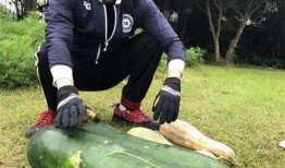 庄寨吃瓜最新事件爆料,最新事件爆料揭秘幕后真相